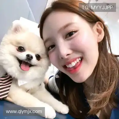 芮行京